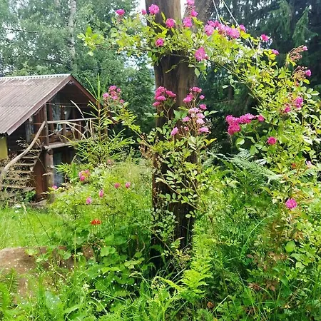 Petrikholm Шале *