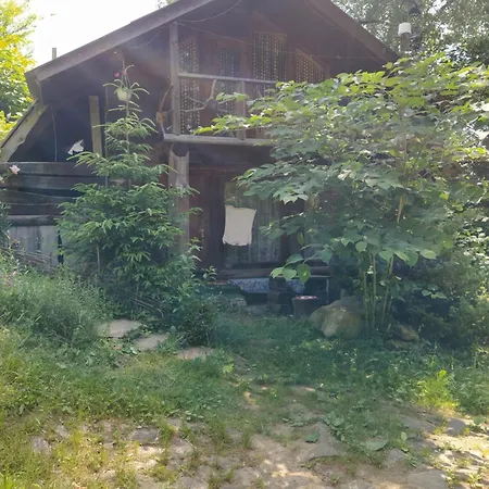 Petrikholm * 타타리브