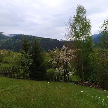 Шале Petrikholm *