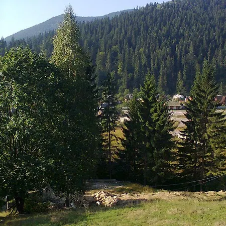 Шале Petrikholm *