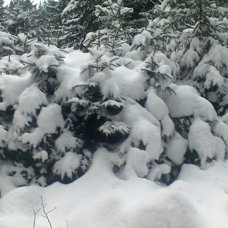 Petrikholm * 타타리브