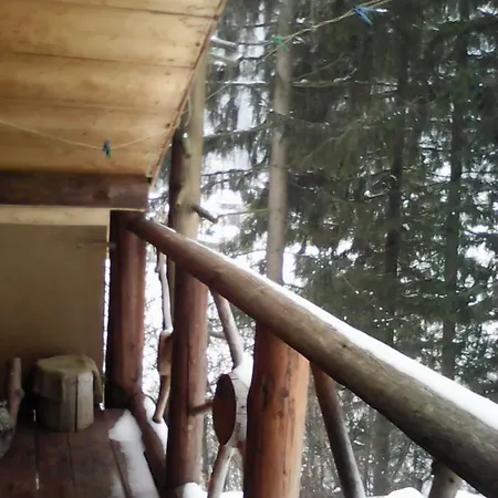 Chalet Petrikholm Tatariv