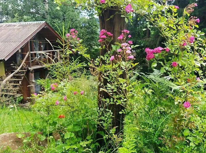 Petrikholm Alpstuga *