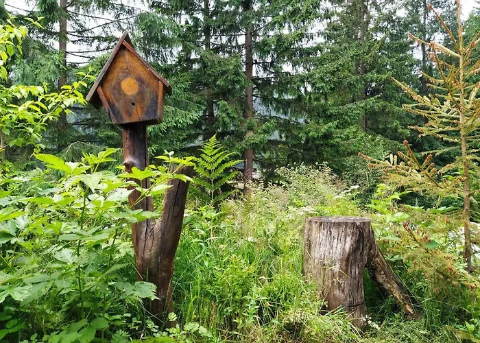 Alpstuga Petrikholm Tatariv