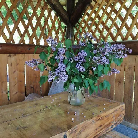 شاليه Petrikholm