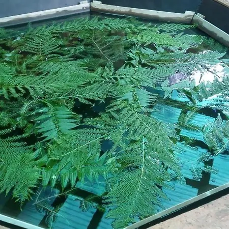 Petrikholm شاليه تاتاريف