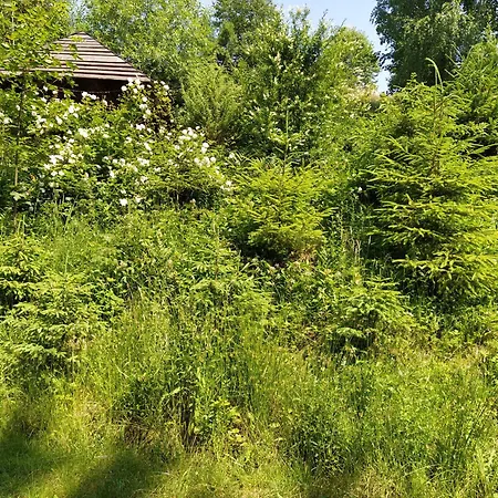 شاليه Petrikholm تاتاريف